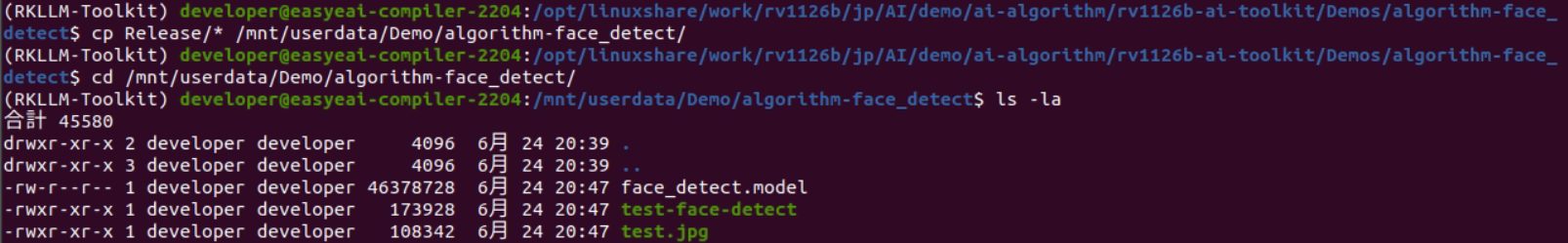 face detect release copy output