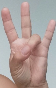figure 24