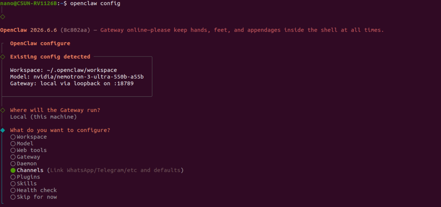 図4-10 OpenClaw config の Channels 選択