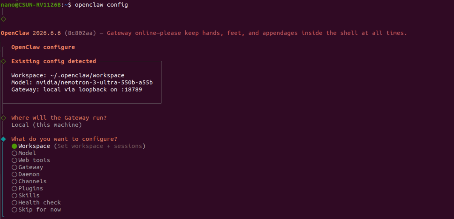 図4-9 OpenClaw config メニュー