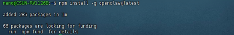図2-5 OpenClaw の npm グローバルインストール結果