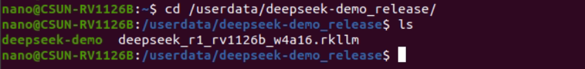 開発ボード上の deepseek-demo_release ディレクトリ確認