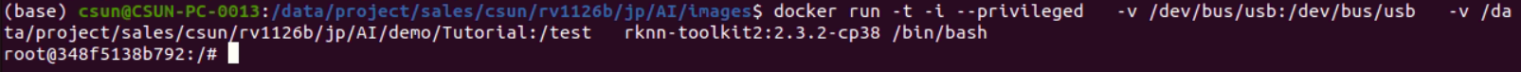 図4-2 RKNN-Toolkit2 Dockerコンテナの起動