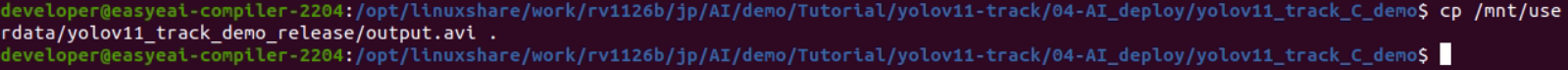 Copy output video terminal command