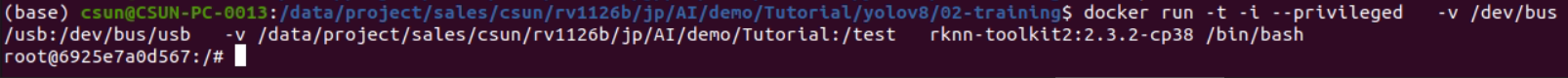RKNN-Toolkit2 Docker環境の起動